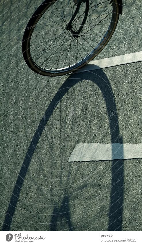 Acht auf Asphalt Nabe Fahrrad ruhig stagnierend Freizeit & Hobby Sicherheit Frieden Schatten Müdigkeit Angst Straße bewegungsunfähigkeit