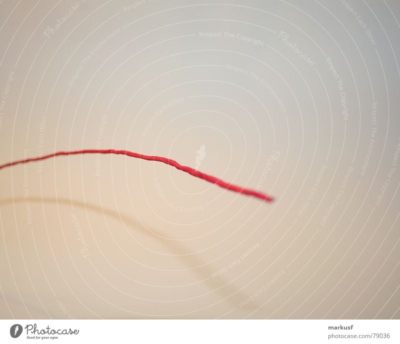 Roter Faden Kontinuität rot Unschärfe nah Ziel Faden verlieren Vordergrund Ende Makroaufnahme Nahaufnahme Nähgarn Beginn red