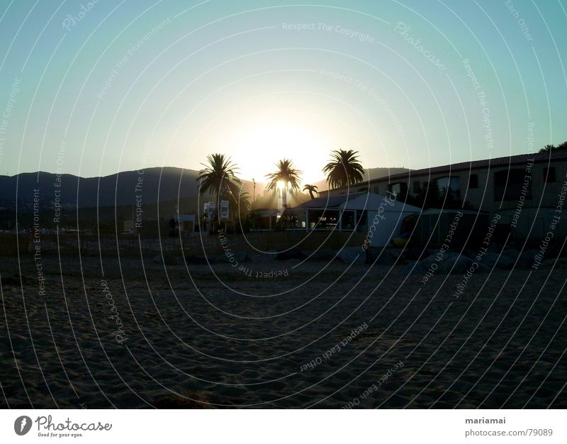 letztes licht Palme Strand Ferien & Urlaub & Reisen Frankreich ruhig lesen Sommer Himmel Meer Schatten Licht Sonnenuntergang Erholung Frieden alleine zu zweit