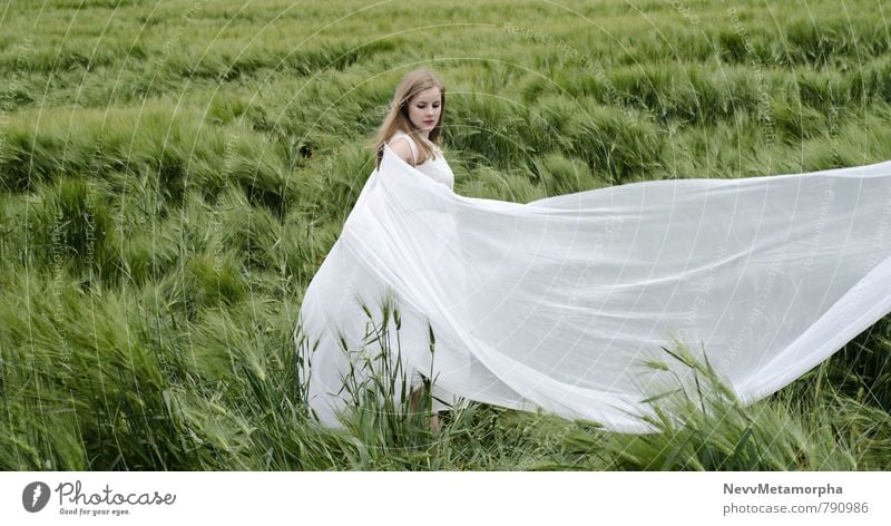 Airbender Mensch feminin Junge Frau Jugendliche 1 18-30 Jahre Erwachsene Natur Landschaft Sommer Pflanze Gras Grünpflanze Nutzpflanze Feld Kleid blond