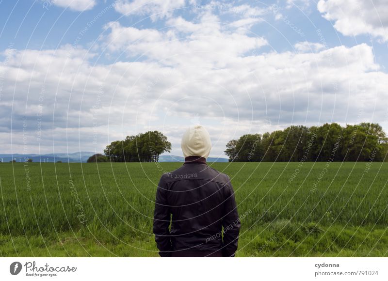 Den Kopf frei kriegen Mensch Junger Mann Jugendliche Leben 18-30 Jahre Erwachsene Umwelt Natur Landschaft Himmel Sommer Schönes Wetter Baum Gras Feld ästhetisch