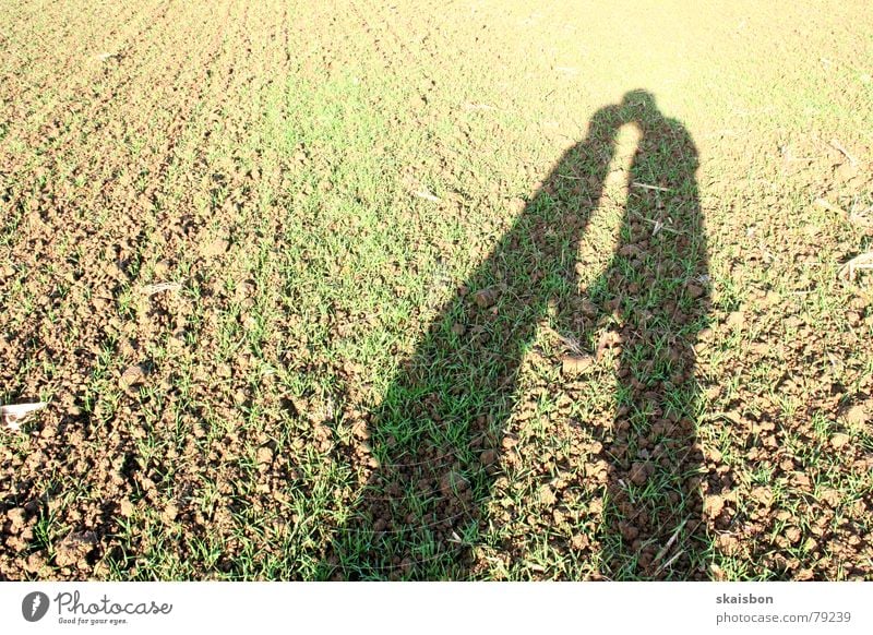 outdoor liebe Freude Glück Mensch Frau Erwachsene Mann Freundschaft Paar Partner Hand Herbst Feld Küssen Liebe Zusammensein weich braun Gefühle Romantik