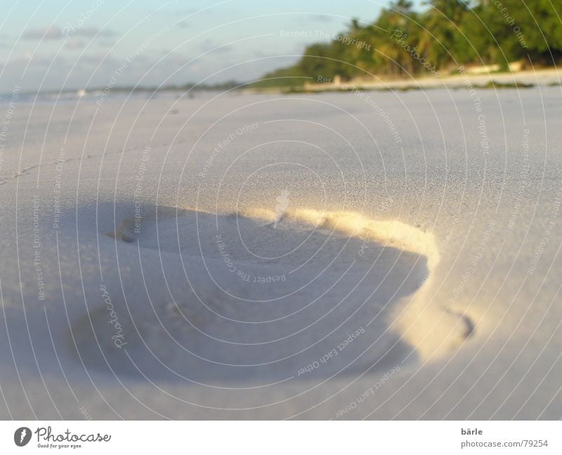 Schritt für Schritt Palme Sansibar Strand Fußspur Sommer Ferien & Urlaub & Reisen Meer Sandstrand gehen Freizeit & Hobby Küste Afrika Furche Bodenbelag Barfuß