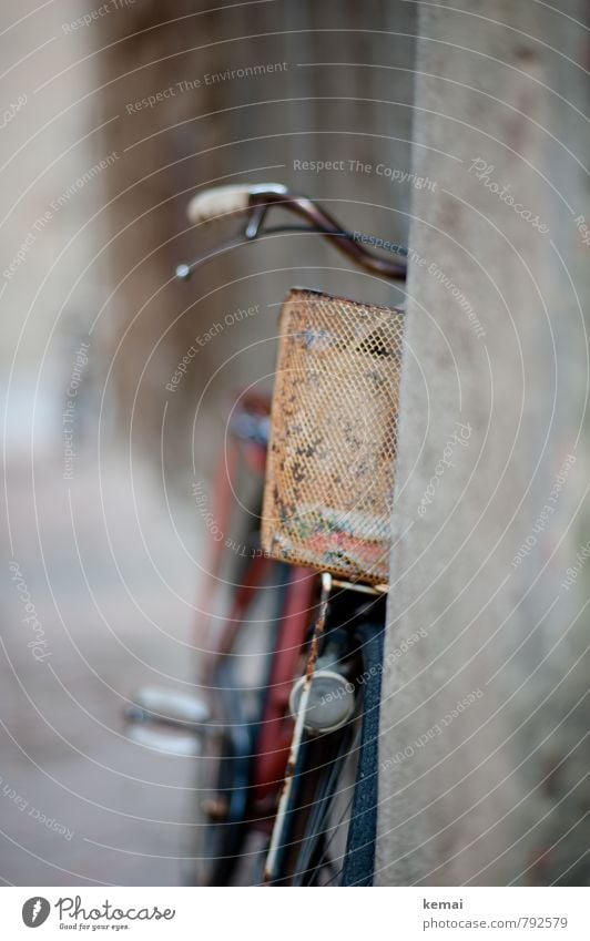 Rad Freizeit & Hobby Fahrrad Fahrradkorb Drahtkorb Korb Fahrradlenker alt dreckig Rost Beton angelehnt Farbfoto Gedeckte Farben Außenaufnahme Nahaufnahme