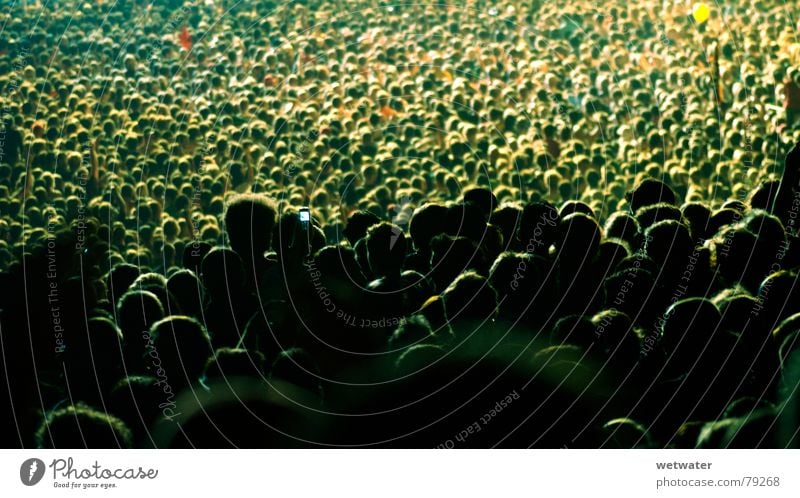 Publikum Konzert Nacht Licht Meer Mensch dunkel Freude Musik Deutschland heads crowd gedränge Menschenmenge Kopf audience night light zuhörerschaft Scheinwerfer