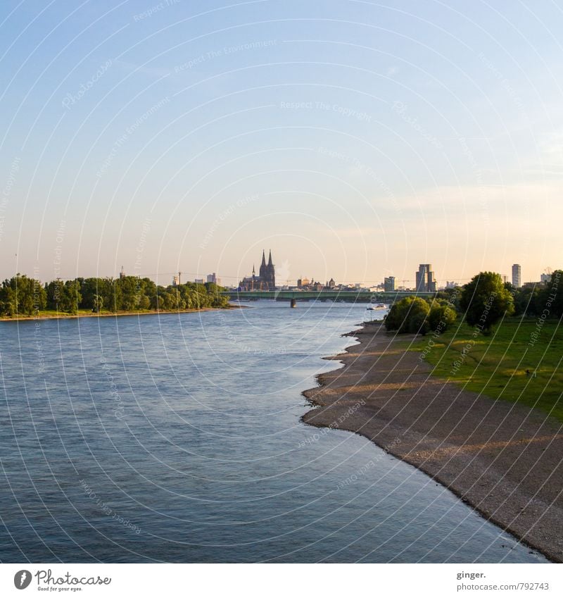 Der Rhein Köln Stadt Hafenstadt Stadtzentrum Skyline Haus Kirche Dom Brücke Bauwerk Gebäude Sehenswürdigkeit Wahrzeichen Kölner Dom authentisch Ferne historisch