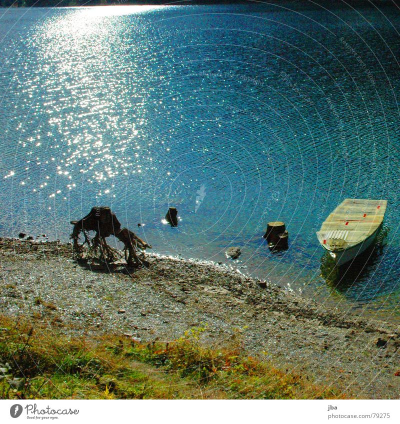 Wassermangel grasgrün See nass Reflexion & Spiegelung glänzend dunkel Gras Baum Wasserfahrzeug Anker Strand Horizont steil Baumstumpf Fischerboot Schifffahrt