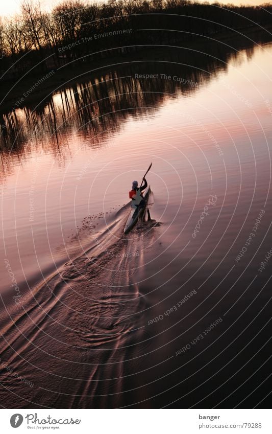 bergauf Kanu Morgen Sonnenaufgang Paddel Geschwindigkeit Wasserfahrzeug Baum violett Winter Sport Spielen begauf Kraft Schlag Brücke Fluss Wassertropfen Natur