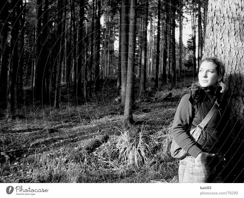 Schau....ne Sonne! anlehnen Wald Baum Pflanze Herbst kalt Einsamkeit Sehnsucht träumen stehen Licht Ferne Junge Frau Schwarzweißfoto hell Beleuchtung Blick