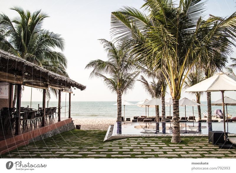 Mui Ne Vietnam Wasser Schwimmen & Baden Meer Südchinesisches Meer mui ne Schwimmbad Unendlichkeit infinity pool horizont Palme Hotel Ferien & Urlaub & Reisen