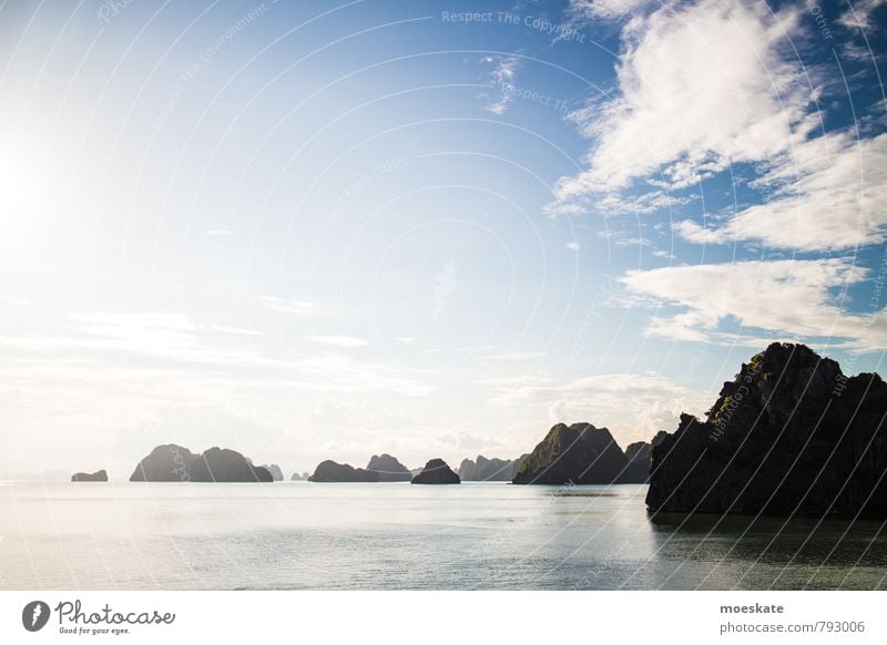 Ha Long Bay Vietnam Landschaft blau Bucht Halong Bay Asien Wasser Meer Felsen Reisefotografie Farbfoto Gedeckte Farben Außenaufnahme Menschenleer