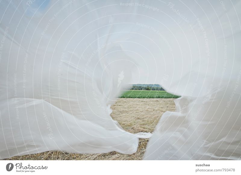 bisschen landschaft Umwelt Natur Landschaft Sommer Schönes Wetter Wind Feld Kunststoff Freude Leichtigkeit Plastikplane Plastikfolie Loch Durchblick Farbfoto