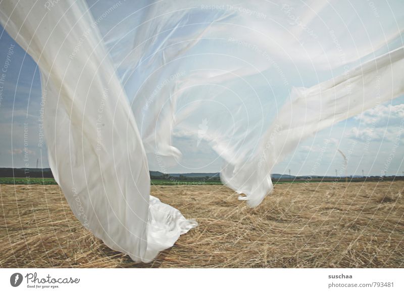 vorhang auf Umwelt Natur Landschaft Luft Himmel Horizont Sommer Schönes Wetter Feld Landwirtschaft Plastikplane Wind flattern Farbfoto Gedeckte Farben