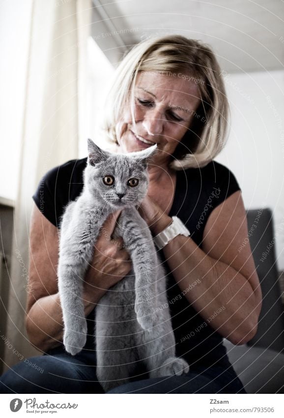 erwischt! elegant feminin Weiblicher Senior Frau 1 Mensch 45-60 Jahre Erwachsene T-Shirt blond Haustier Katze Freundlichkeit Zusammensein Glück klein grau