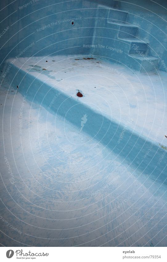 Nichtschwimmer Becken Sommer Herbst leer Luft Ferien & Urlaub & Reisen reich tauchen Schwimmbad Dienstleistungsgewerbe blau Treppe Alkoholisiert oberschicht