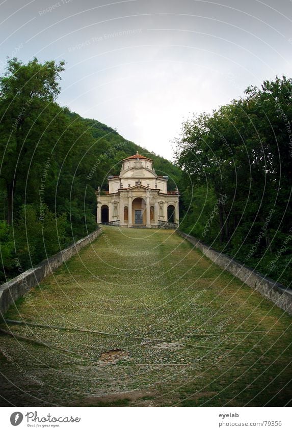 Idylle mit Bodenfalten Italien Religion & Glaube Hoffnung Hügel Ferien & Urlaub & Reisen wandern Christentum Götter Wald Park Baum Gebäude Haus grün grau Wolken