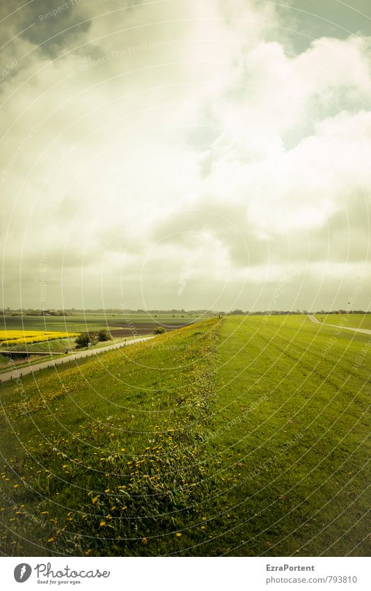 op de diek Ferien & Urlaub & Reisen Tourismus Ausflug Meer Umwelt Natur Landschaft Himmel Wolken Frühling Sommer Klima Klimawandel Wetter Pflanze Blume Gras