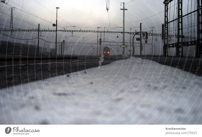 ZUGrunde kommen Sargans Eisenbahn Einfahrt Schweiz kalt Winter Froschperspektive Elektrizität Verkehr Gleise Nebel Morgen Station Bahnsteig Bahnfahren