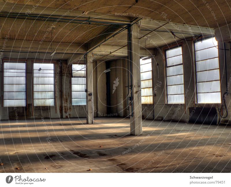 Fensterfront Fabrikhalle Fensterscheibe Licht Bauwerk Beton Gebäude hell Innenaufnahme dreckig Menschenleer Lichteinfall verfallen Industrie Glas Beleuchtung