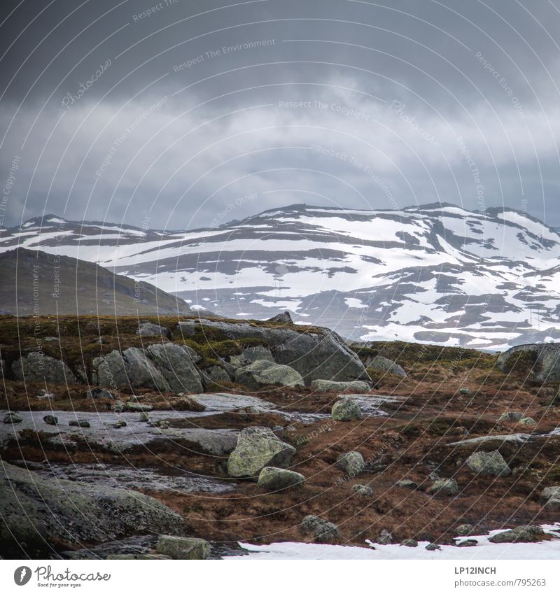 N O R W A Y - Stones - XXII Umwelt Natur Landschaft Tier Wolken schlechtes Wetter Gras Berge u. Gebirge Norwegen wandern dunkel gigantisch Abenteuer Einsamkeit