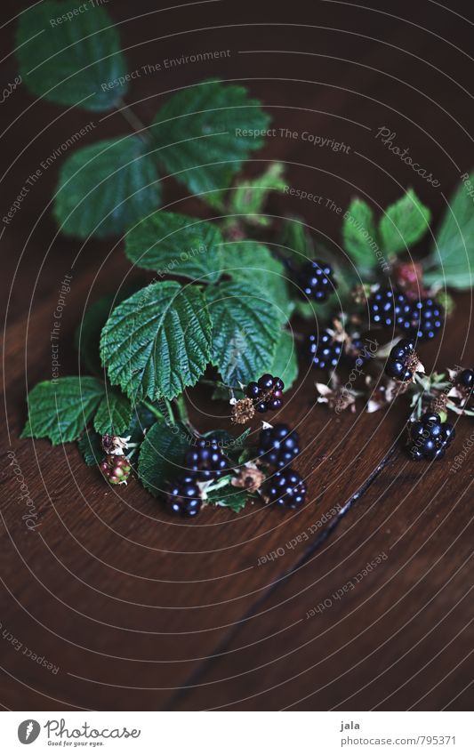 kleine wilde Lebensmittel Frucht Brombeeren Ernährung Bioprodukte Vegetarische Ernährung Pflanze Blatt Nutzpflanze Wildpflanze ästhetisch frisch Gesundheit