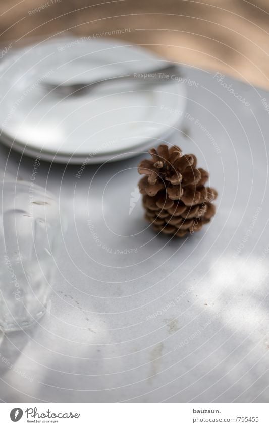 aufräumen. Ernährung Kaffeetrinken Geschirr Teller Glas Gabel Ausflug Garten Schönes Wetter Zapfen Holz braun weiß Häusliches Leben Farbfoto Gedeckte Farben