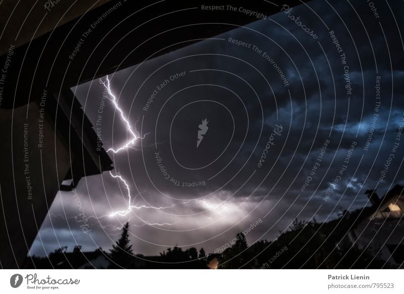 Himmeltanz Umwelt Natur Luft Wolken Gewitterwolken schlechtes Wetter Unwetter Wind Sturm Regen Blitze Pflanze Baum einzigartig Freiheit Horizont Konzentration