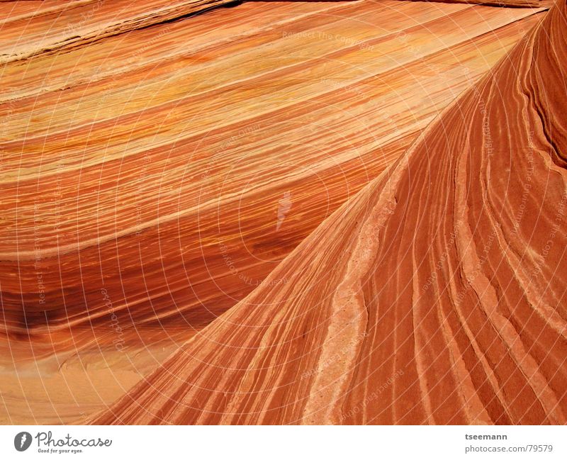 The Wave IV Wellen Berge u. Gebirge Erde Sand Schlucht Stein gelb orange rot Sandstein Old Paria USA Marmor pattern stone marbel structure red wave sandstone