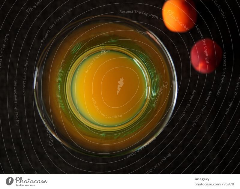 Saft und Co Lebensmittel Frucht Orange Ernährung Essen Frühstück Bioprodukte Diät Getränk Erfrischungsgetränk Glas Stil Gesundheit Gesundheitswesen