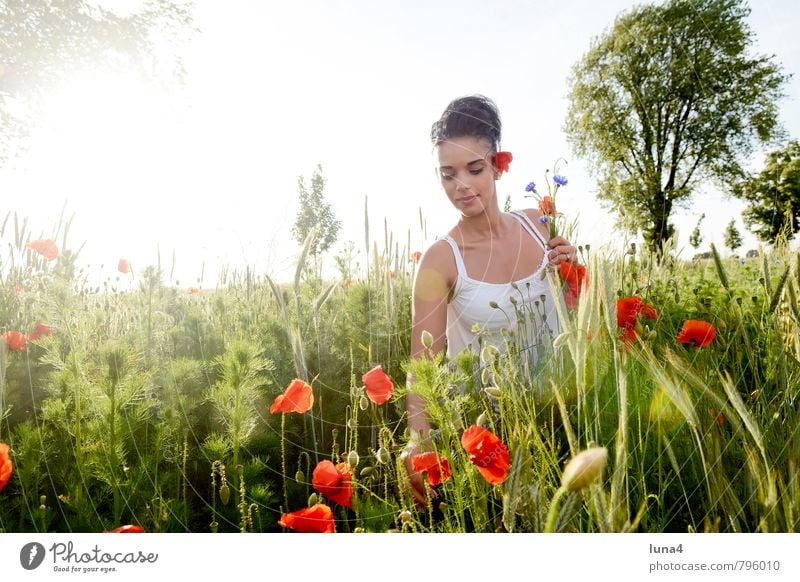 Mohn Sommer feminin Junge Frau Jugendliche Erwachsene 1 Mensch 18-30 Jahre Natur Frühling Blume Blüte Wiese Blumenstrauß grün rot Lebensfreude pflücken