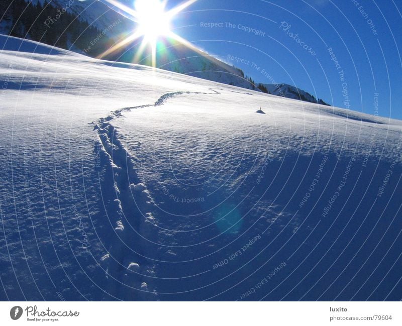 schneeblau Winter Himmel kalt Licht Ferien & Urlaub & Reisen Wolken lichtvoll Sonnenbad Sommer Berge u. Gebirge Schnee Spuren Eis sky Natur hell Alpen snow blue