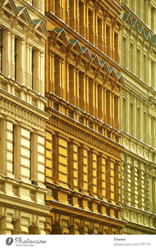 Altbau Ocker Gipsmörtel Haus Gebäude Fassade Stuck Putz Wohnung Fenster Prenzlauer Berg Farbton Anstrich Bauwerk historisch wohngebäude stuckverzierung Farbe