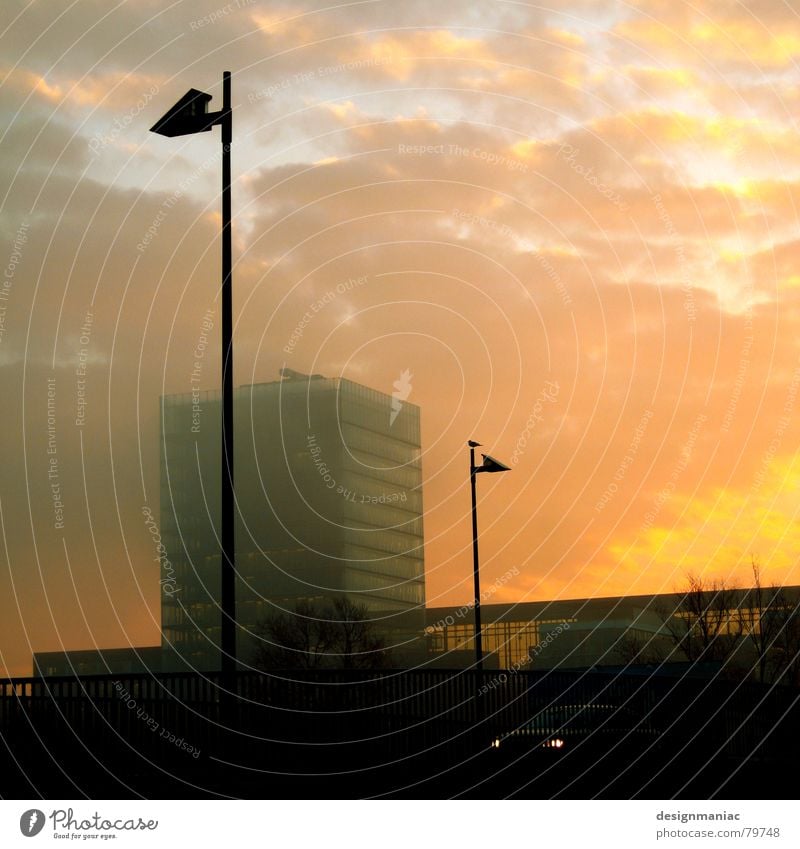 Die Zwei und der Dicke im Hintergrund Frankfurt am Main Lampe Vogel Horizont Sonnenaufgang Wolken grau schwarz rosa Gebäude dunkel Nebel Wolkendecke groß klein