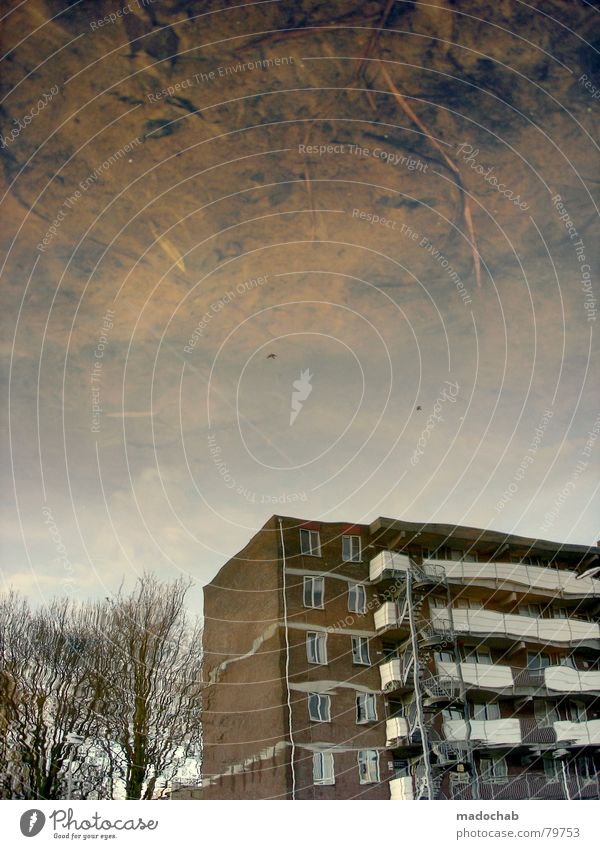 ATLANTIS III Pfütze wirklich Nebel nass Herbst Haus Hochhaus Gebäude Material Fenster live Block Beton Etage trist dunkel Leidenschaft Spiegel Vermieter Mieter