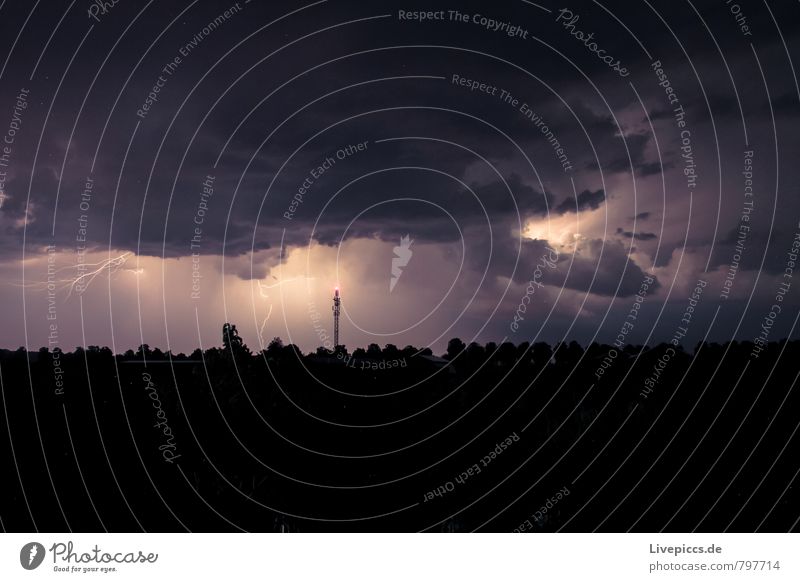 Blitz und...den Donner hört man leider nicht! Umwelt Natur Landschaft Luft Himmel Wolken Gewitterwolken Nachthimmel Horizont Sommer Unwetter Wind Blitze Pflanze