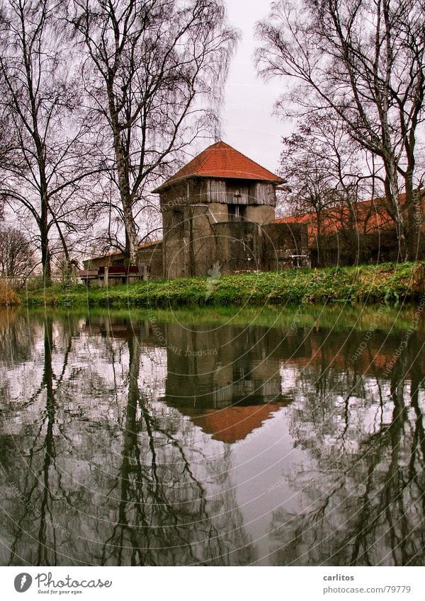 Den Täter zieht es ... See Teich Reflexion & Spiegelung Baum Birke Licht Herbst dunkel trist Schatten Umwelt sonnenlos Silo Architektur Fototechnik badeteich