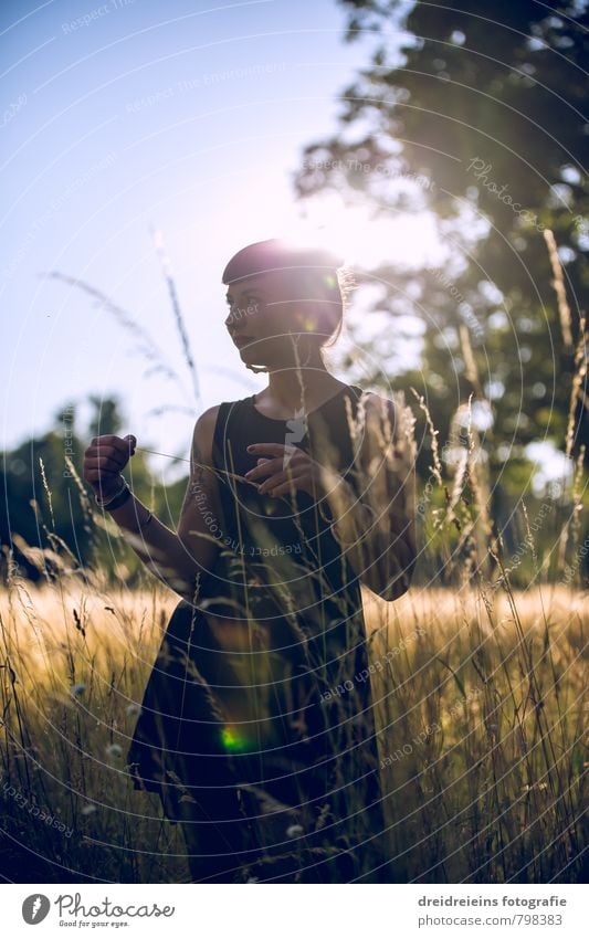 Summer Sunset feminin Junge Frau Jugendliche Erwachsene 1 Mensch Schönes Wetter Baum Gras Wiese Kleid stehen träumen Glück natürlich Zufriedenheit Lebensfreude