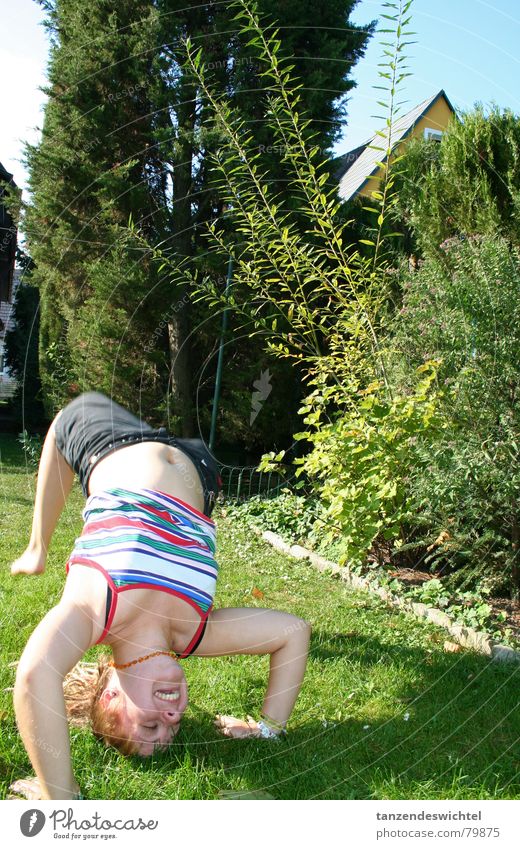 herumtollen im garten umfallen Zufriedenheit Sommer Wiese Baum Kopfstand Überschlag Aktion Freude Garten Rasen Bauch Bewegung lachen