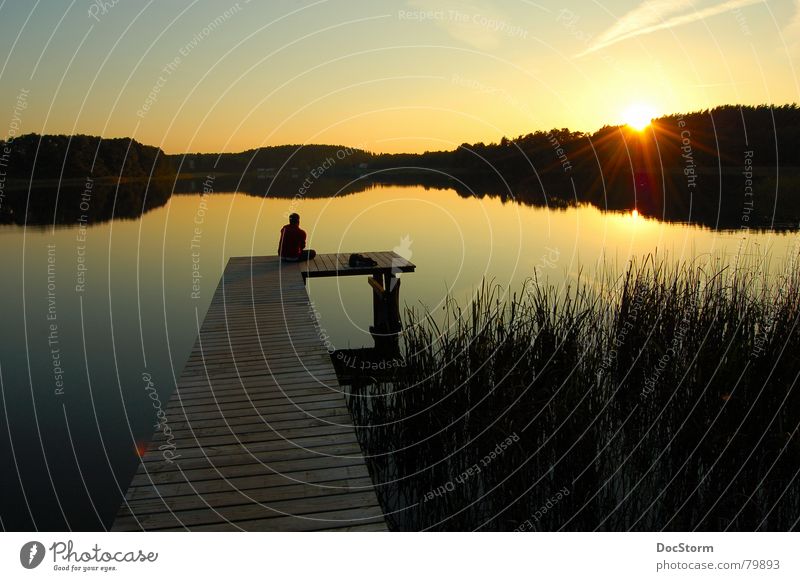 letzter Sonnenstrahl See Gewässer Sonnenuntergang ruhig Einsamkeit Zufriedenheit Sommer Erholung gelb Steg Schilfrohr Spiegel Ferien & Urlaub & Reisen Romantik