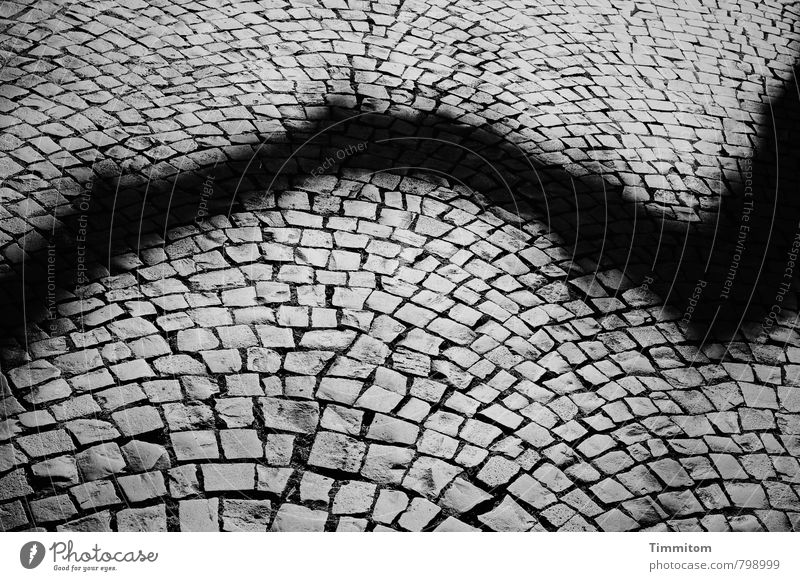 Tuesday Blues. Heidelberg Menschenleer Platz Schatten Stein Blick stehen ästhetisch dunkel grau schwarz Gefühle Schmerz Pflastersteine Linie Baumschatten