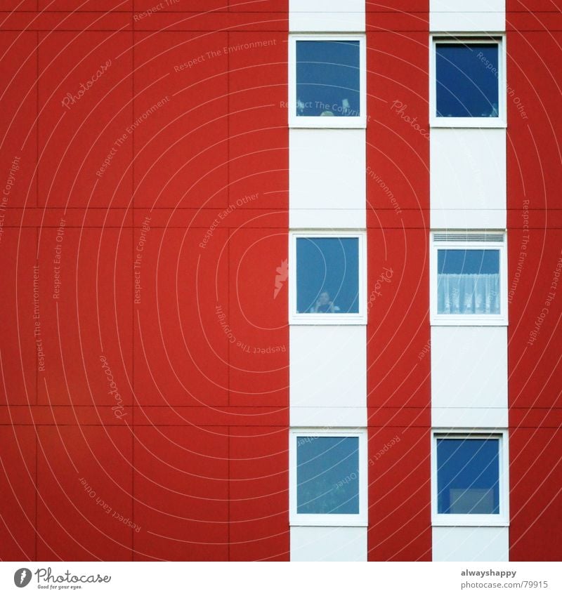 Heuschrecken Familienfeier Plattenbau Wohnhochhaus Heimat heimwärts Wohnung vergessen Erinnerung Einsamkeit Verzweiflung Landflucht rot weiß Fenster Haus