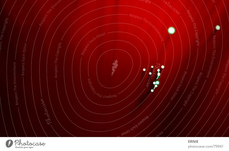 Fade in Freundlichkeit Glasfaser lichtmagnetisch Licht Nebel dunkel rot Faser mystisch grell Kino Schleier hell Makroaufnahme Nahaufnahme leer geheimniss