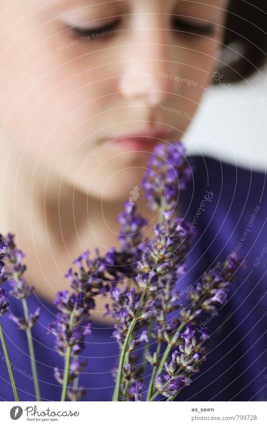 Duft II schön Wellness Erholung ruhig Meditation Mädchen Nase 8-13 Jahre Kind Kindheit Umwelt Natur Pflanze Sommer Blume Blüte Lavendel Garten atmen träumen