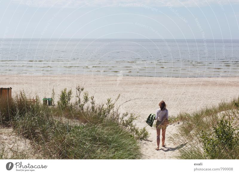 Hallo, Strand! Ferien & Urlaub & Reisen Tourismus Ausflug Sommer Sommerurlaub Sonne Meer Mensch Frau Erwachsene 1 Landschaft Schönes Wetter Wellen Küste Ostsee