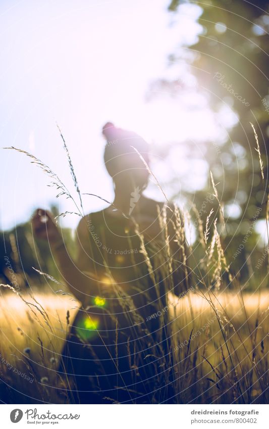 Weibliche Silhouette im Lieblingslicht feminin Junge Frau Jugendliche Erwachsene 1 Mensch Himmel Sonne Sonnenaufgang Sonnenuntergang Sonnenlicht Sommer