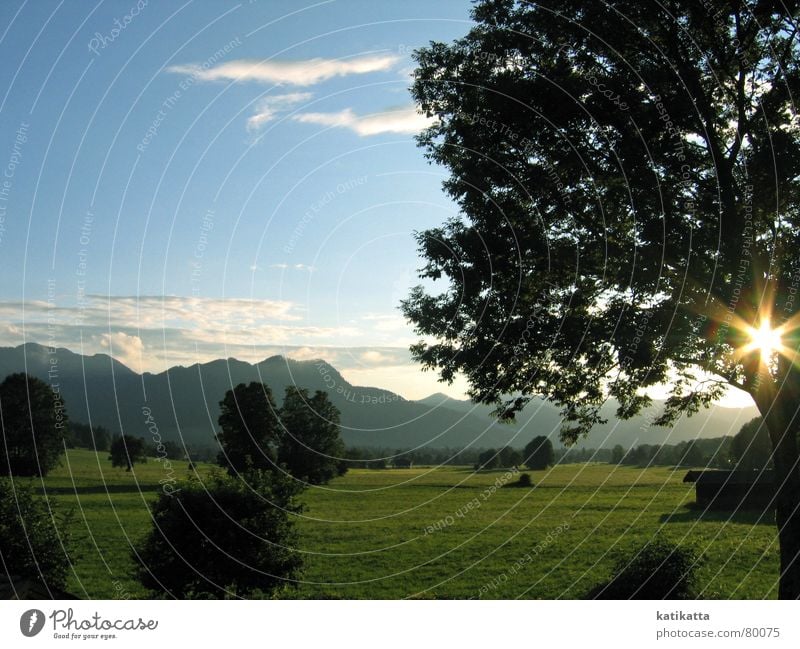 mein urlaub. Bayern Sonnenuntergang Baum grün Gegenlicht ruhig Ferien & Urlaub & Reisen Wiese Gewitterregen Regen Berge u. Gebirge Sommer Natur Alpen blau Nebel