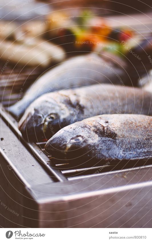 Erinnert an Sommer Fisch Gesunde Ernährung Camping Garten Feste & Feiern Freude Vorfreude Grillen essen BBQ feiern genießen Farbfoto Außenaufnahme Nahaufnahme