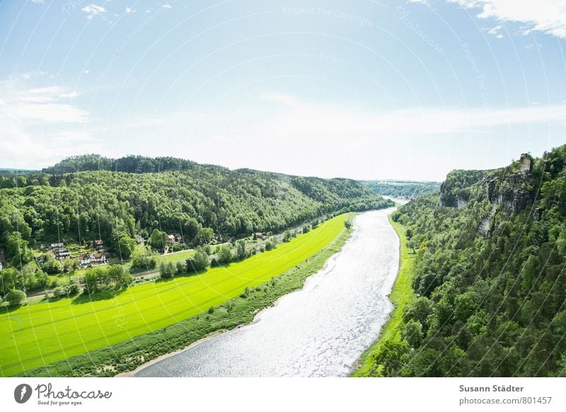 UT DD I Sonne satt! Urelemente Himmel Sommer Gras Wiese Feld Wald Hügel Felsen Flussufer Fjord Unendlichkeit saftig Bastei Elbsandstein Elbsandsteingebirge Elbe