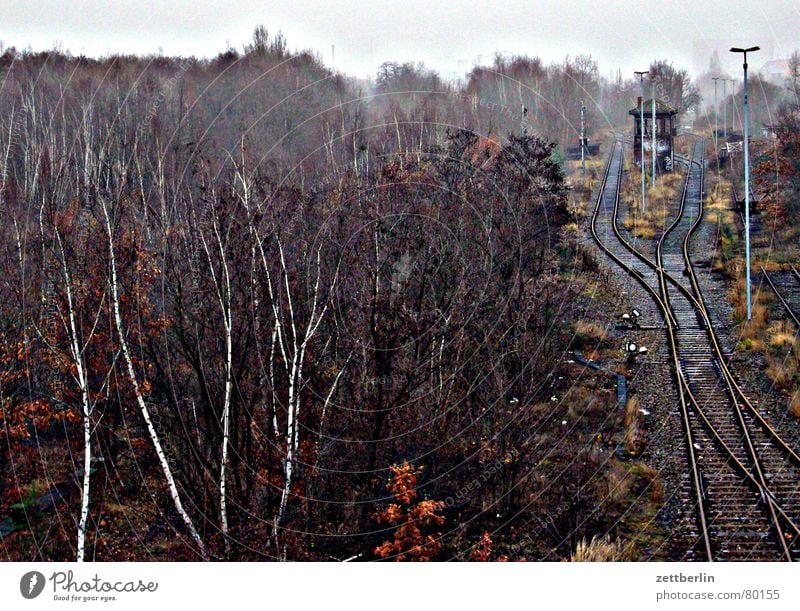 Silvester Deportation Nationale Sicherheit Verschiebung Umzug (Wohnungswechsel) gehen Abschied Wald Botanik Nebel Gleise Laterne Lebenslauf Karriere Station