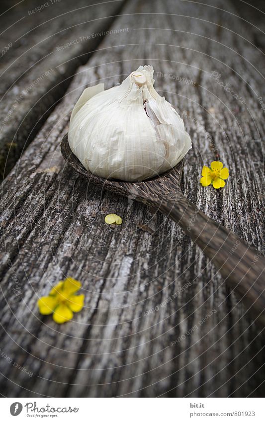 Chnobli Lebensmittel Kräuter & Gewürze Ernährung Bioprodukte Vegetarische Ernährung Italienische Küche Löffel Lifestyle Gesundheit Gesundheitswesen